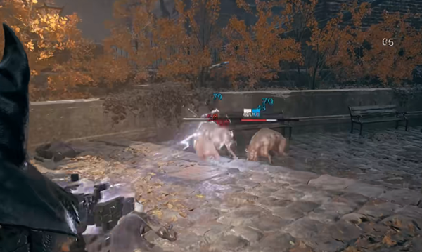 Wie man verdaute Schweinefutter von 2DLC in Trümmern erhält
