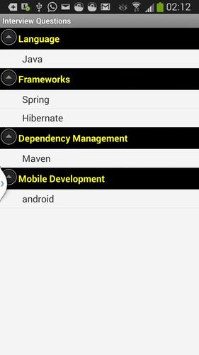 Software Job Interview