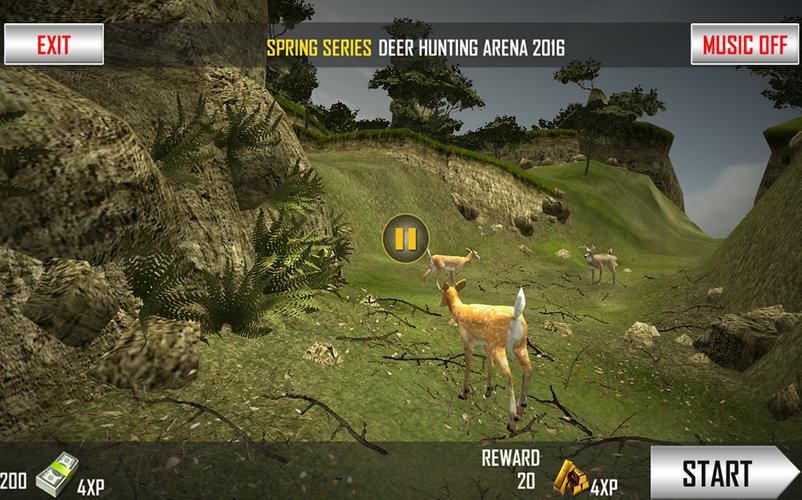 Deer Wild  Animal  Hunter