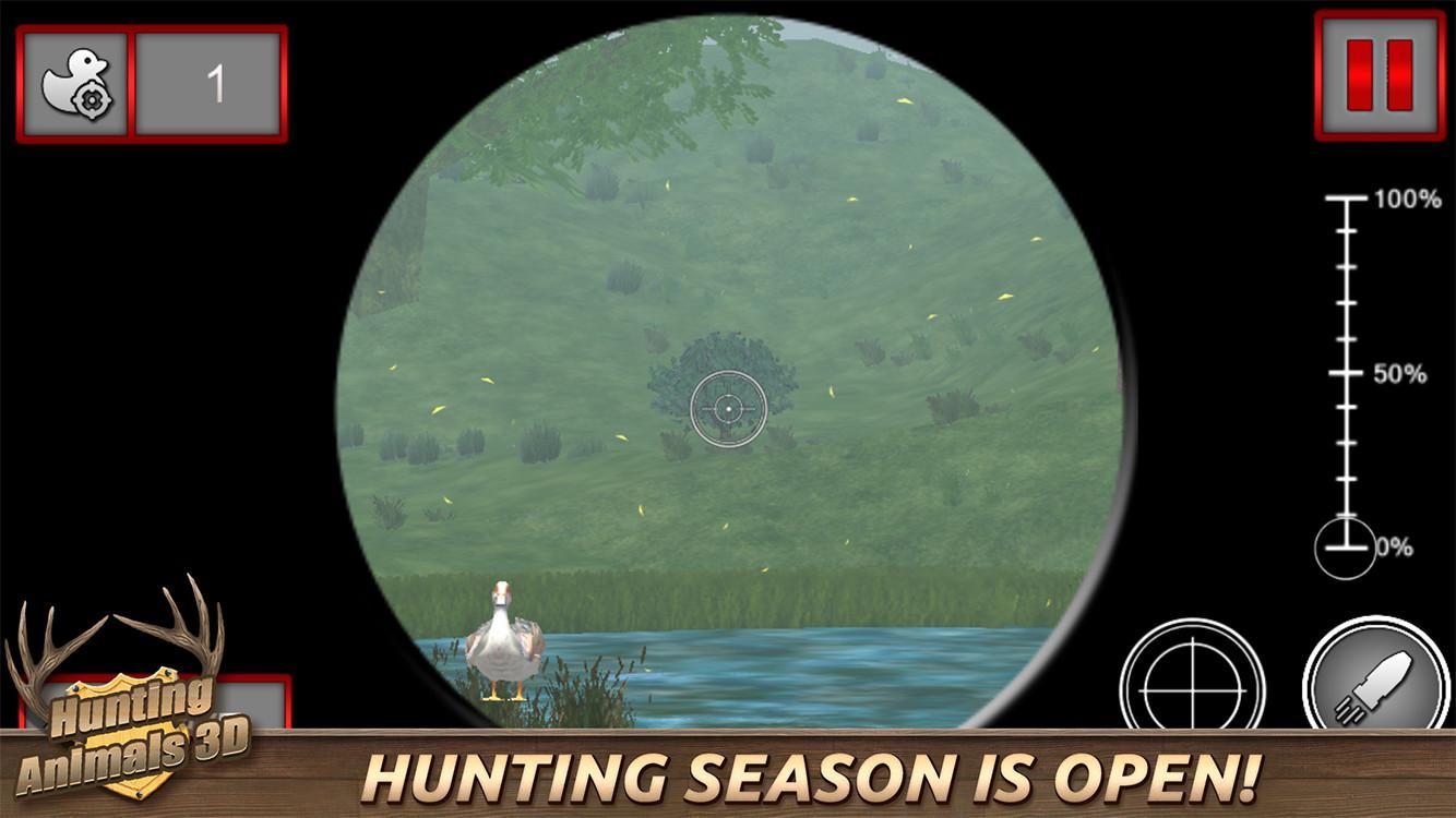 Hunting Animals 3D