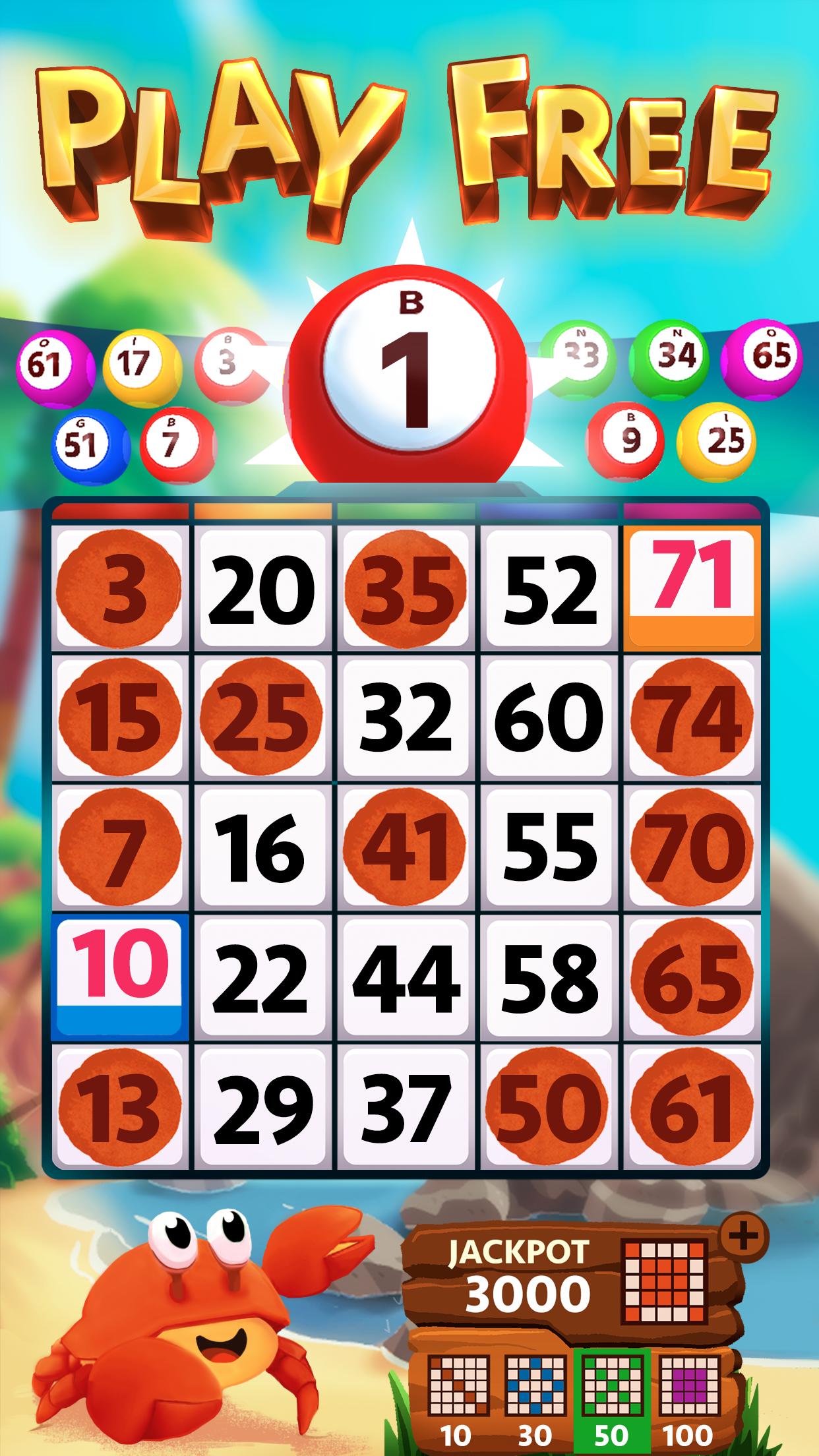 Video Bingo Pipa