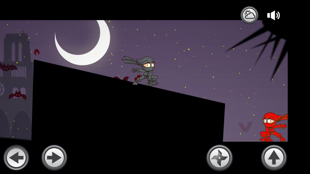 Shadow Ninja