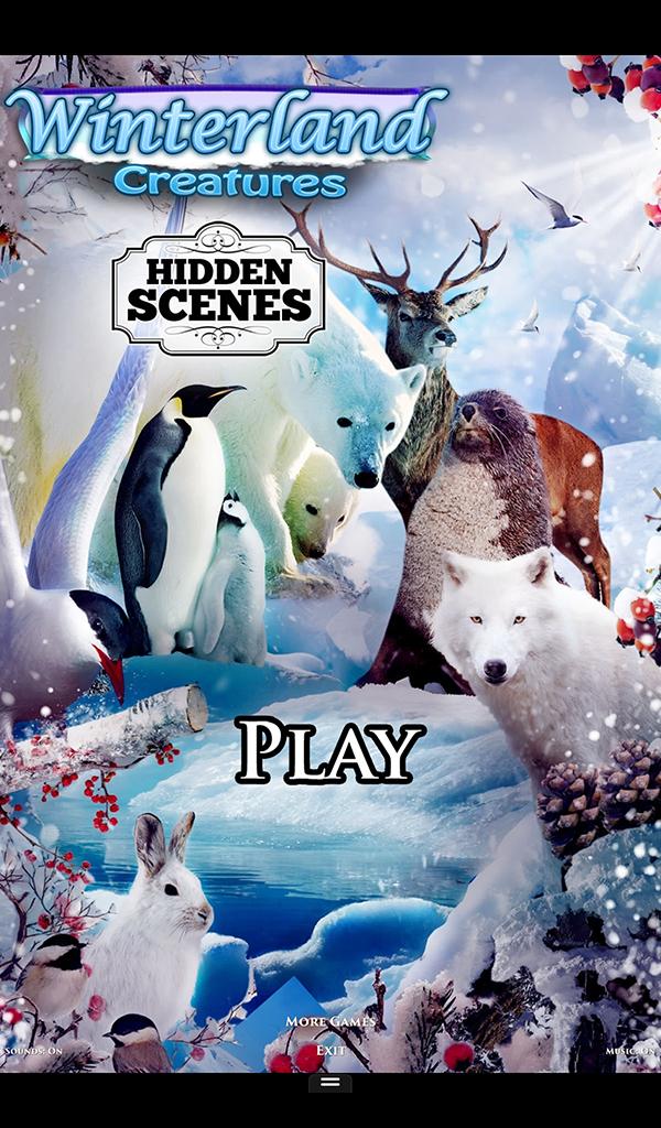 Hidden Scenes Winter Creatures
